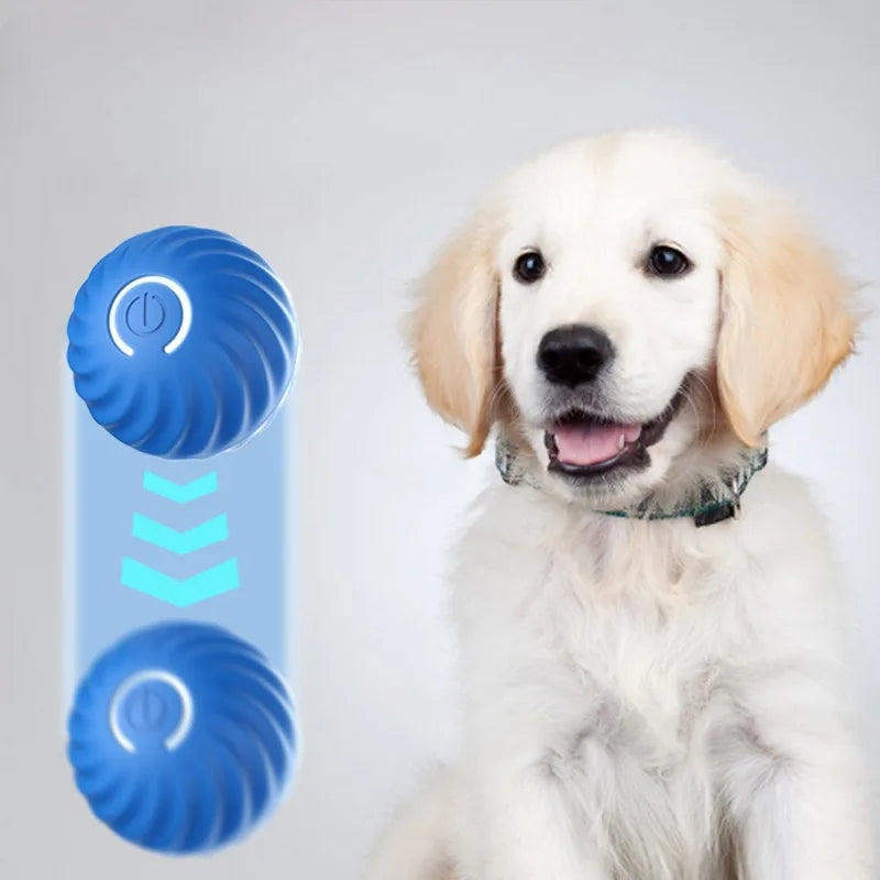 Automatic Moving Dog Toy Ball - Smart USB - Jumping Rotating Interactive Dog Ball