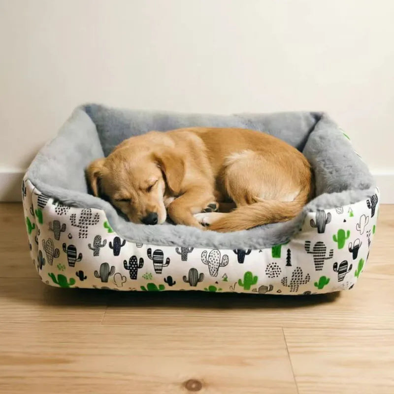 Cactus Print Square Dog Bed - Indoor Pet Bed for Small and Medium-Sized Dogs